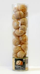 Helix Snails & Shells